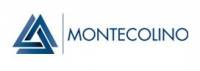 logo-montecolino-eanet-272x96.jpg