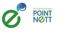 Point Nett