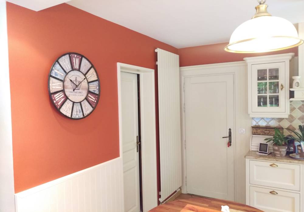 realisations peinture decoration couleur d interieur (15)